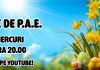 Foc de P.A.E. cu Andrei Partoș – ediția 933. Ungurii au votat. Ne ajută cu ceva? (15.04.2026) Foc de P.A.E. cu Andrei Partoș - ediția 933. Ungurii au votat. Ne ajută cu ceva? (15.04.2026)