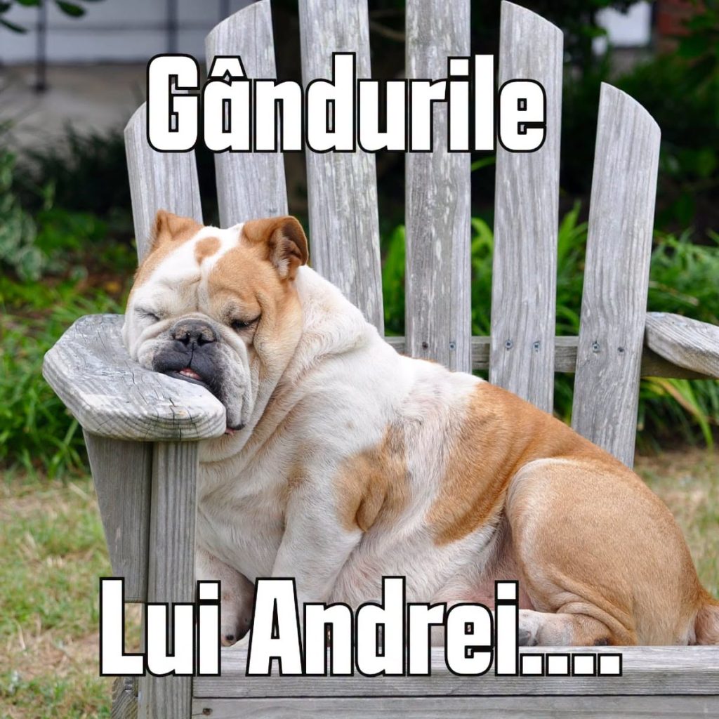 JURNAL DUMINICAL 19.04. -”CÂINII AU ÎNVINS ȘEPCILE ROȘII” ȘI ALTELE...