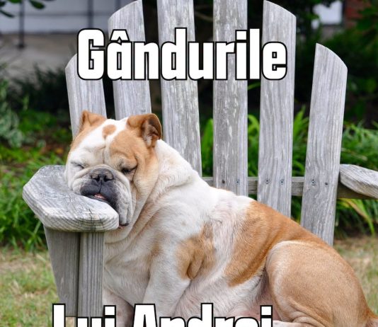 JURNAL DUMINICAL 19.04. -”CÂINII AU ÎNVINS ȘEPCILE ROȘII” ȘI ALTELE… JURNAL DUMINICAL 19.04. -”CÂINII AU ÎNVINS ȘEPCILE ROȘII” ȘI ALTELE...