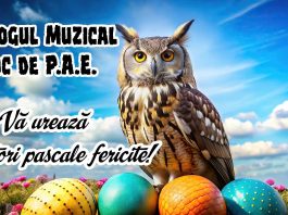 JURNALUL MEU DE SÂMBĂTĂ 11.04 – PREPASCALE JURNALUL MEU DE SÂMBĂTĂ 11.04 - PREPASCALE