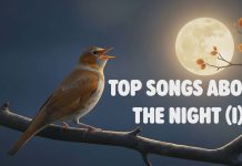 TOP SONGS ABOUT THE NIGHT. VOTEAZĂ CEL MULT 25! TOP SONGS ABOUT THE NIGHT. VOTEAZĂ CEL MULT 25!