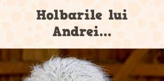 JURNALUL MEU DE JOI, 25.06 – A MURIT MORALA LA POLITICIENI, DAR ȘI LA TELEVIZIUNI JURNALUL MEU DE JOI, 25.06 - A MURIT MORALA LA POLITICIENI, DAR ȘI LA TELEVIZIUNI