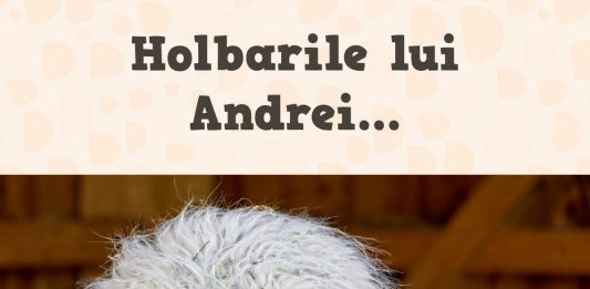 JURNAL HOLBAT DE MARȚI 6.10 – CRISTELA, PRIMA DOAMNĂ ÎN VIAȚA LUI CĂLIN JURNALUL MEU DE JOI, 25.06 - A MURIT MORALA LA POLITICIENI, DAR ȘI LA TELEVIZIUNI
