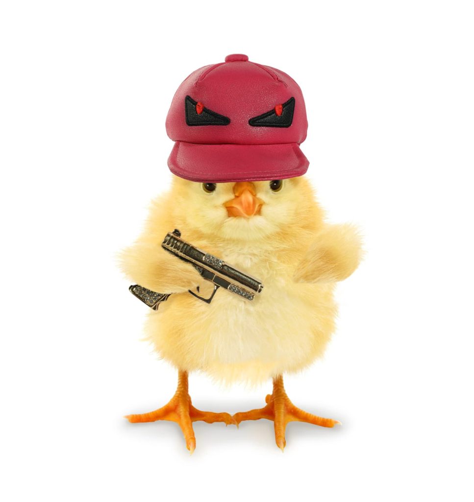 HOLBARE DE PRÂNZ - PISTOLUL CADOU, WOW! AJUNGEM LA ANARHIE?