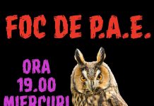 Foc de P.A.E. cu Andrei Partoș – ediția 958. Este Grindeanu mai periculos decât Simion pentru democrația noastră? (19.08.2026) Foc de P.A.E. cu Andrei Partoș - ediția 958. Este Grindeanu mai periculos decât Simion pentru democrația noastră? (19.08.2026)