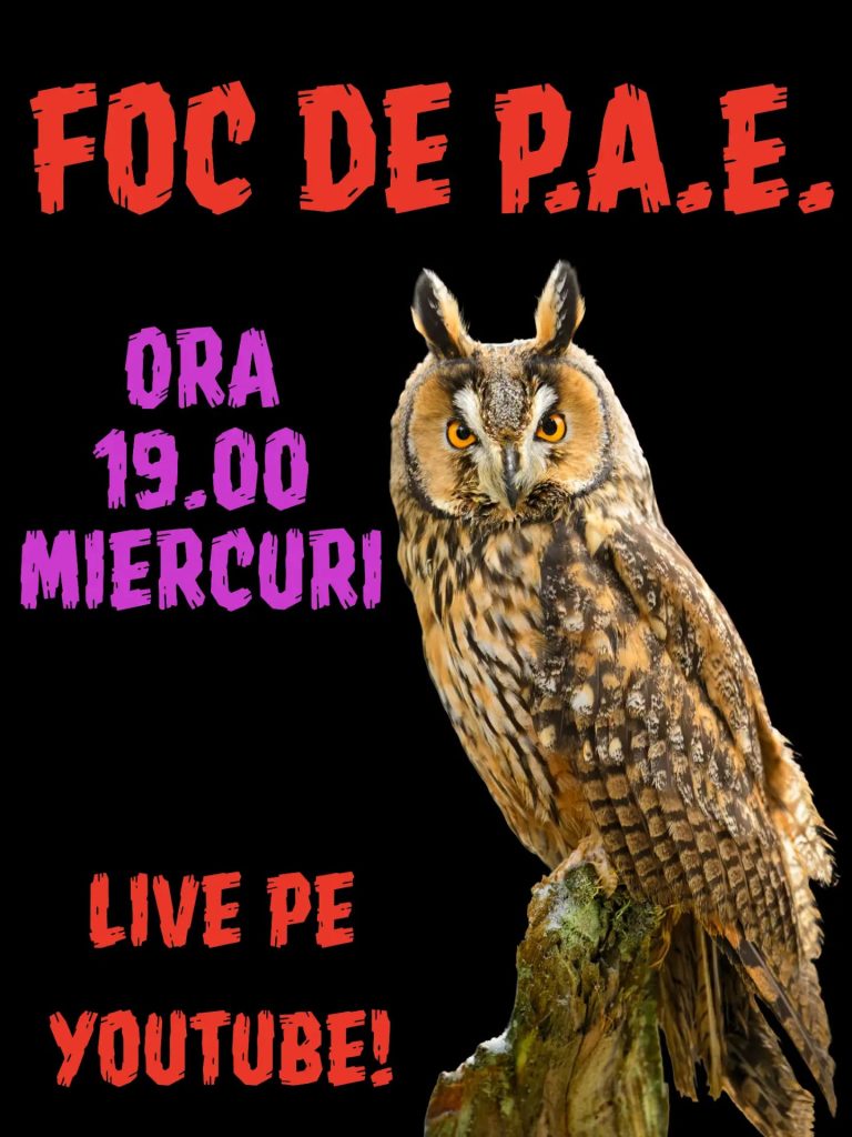 Foc de P.A.E. cu Andrei Partoș - ediția 958. Este Grindeanu mai periculos decât Simion pentru democrația noastră? (19.08.2026)