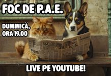 Foc de P.A.E. cu Andrei Partoș – ediția 963. 125 de zile fără guvern… Oare ce (ne) mai face Nicușor Dan? (6.09.2026) Foc de P.A.E. cu Andrei Partoș - ediția 963. 125 de zile fără guvern... Oare ce (ne) mai face Nicușor Dan? (6.09.2026)