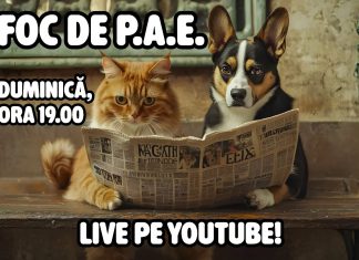 Foc de P.A.E. cu Andrei Partoș – ediția 963. 125 de zile fără guvern… Oare ce (ne) mai face Nicușor Dan? (6.09.2026) Foc de P.A.E. cu Andrei Partoș - ediția 963. 125 de zile fără guvern... Oare ce (ne) mai face Nicușor Dan? (6.09.2026)